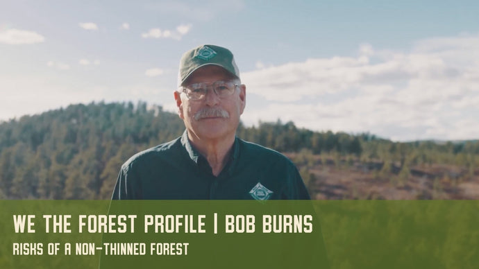 Bob Burns: We The Forest Profile