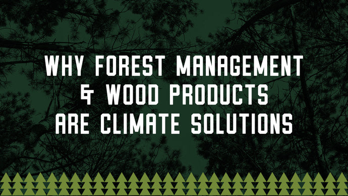 Why Forest Management And Wood Products Are Climate Solutions