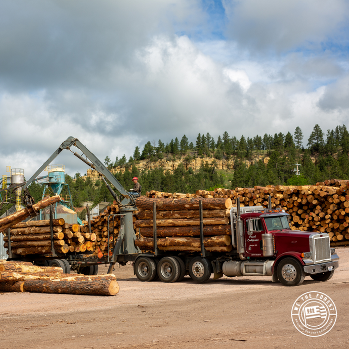 Forestry on cutting edge of climate crisis