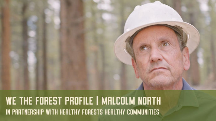 Malcolm North: We The Forest Profile