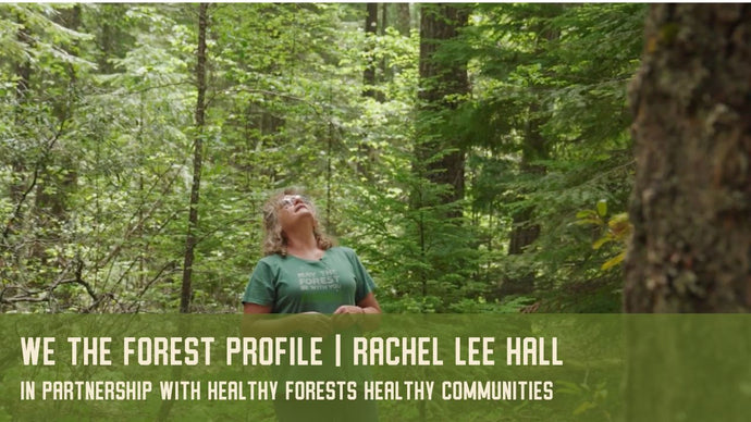 Rachel Lee Hall: We The Forest Profile
