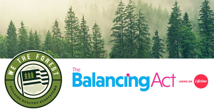Sustainable Forestry Practices | The Balancing Act