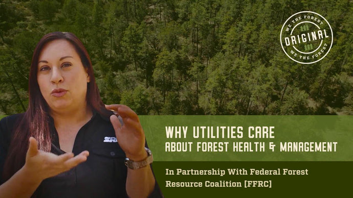 Why Utilities Care About Forest Health & Management | A We The Forest Original